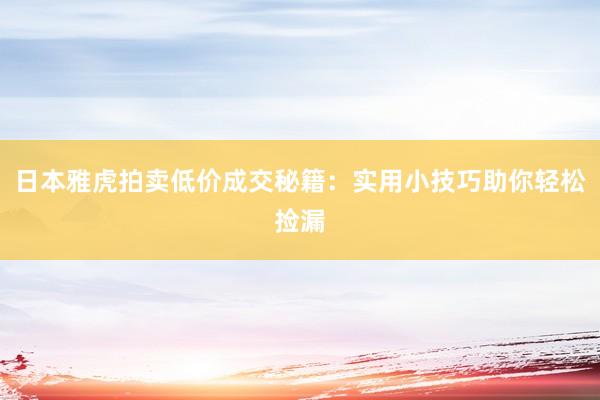 日本雅虎拍卖低价成交秘籍：实用小技巧助你轻松捡漏
