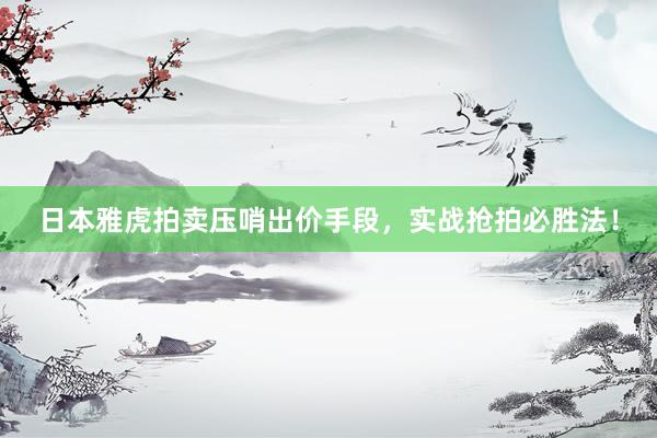 日本雅虎拍卖压哨出价手段，实战抢拍必胜法！