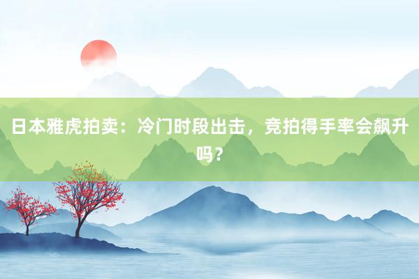 日本雅虎拍卖：冷门时段出击，竞拍得手率会飙升吗？